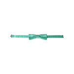 Dolce & Gabbana Mint Green Silk Adjustable Neck Men Bow Tie FT3914