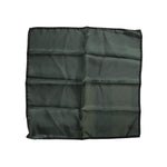Dolce & Gabbana Green DG Crown Silk Square Men Foulard Scarf MS7282
