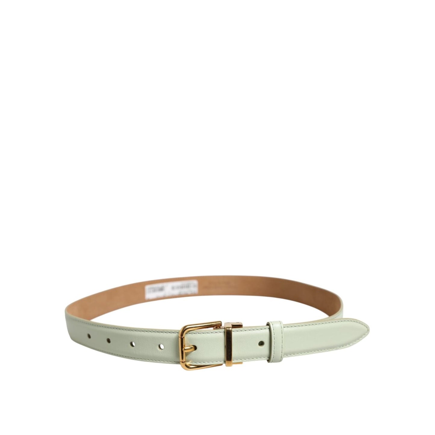 Dolce & Gabbana Light Green Leather Gold Metal Buckle Belt WMB526-75