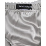 Dolce & Gabbana Gray Silk Stretch Bottom Low Waist Panty Underwear BIK1304-2
