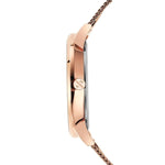ARMANI EXCHANGE Mod. AX5573 WATCHES