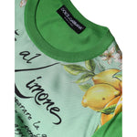 Dolce & Gabbana Dolce & Gabbana Green Silk Granita Al Limone Long Sleeves Sweater TSH86569-40 1728,67345645728,Dolce & Gabbana,Green,IT40|S,Material: 100% Silk,Preowned / Defect,Sweaters - Women - Clothing,Women