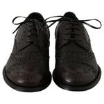 Dolce & Gabbana Brown Leather Wingtip Derby Formal Shoes