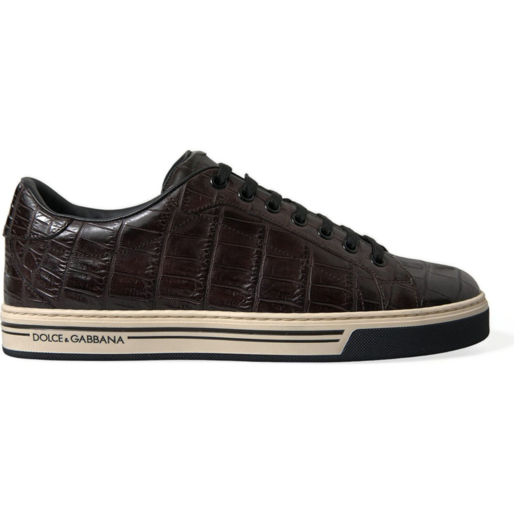 Dolce & Gabbana Brown Croc Exotic Leather Men Casual Sneakers Shoes