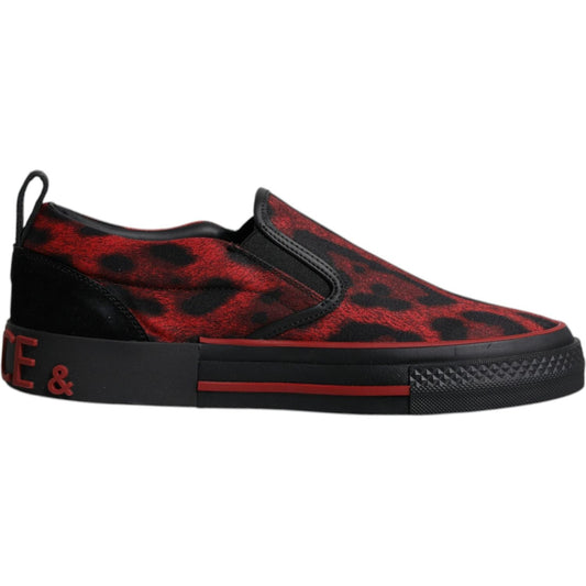 Dolce & Gabbana Red Black Leopard Cotton Men Low Top Sneakers Shoes