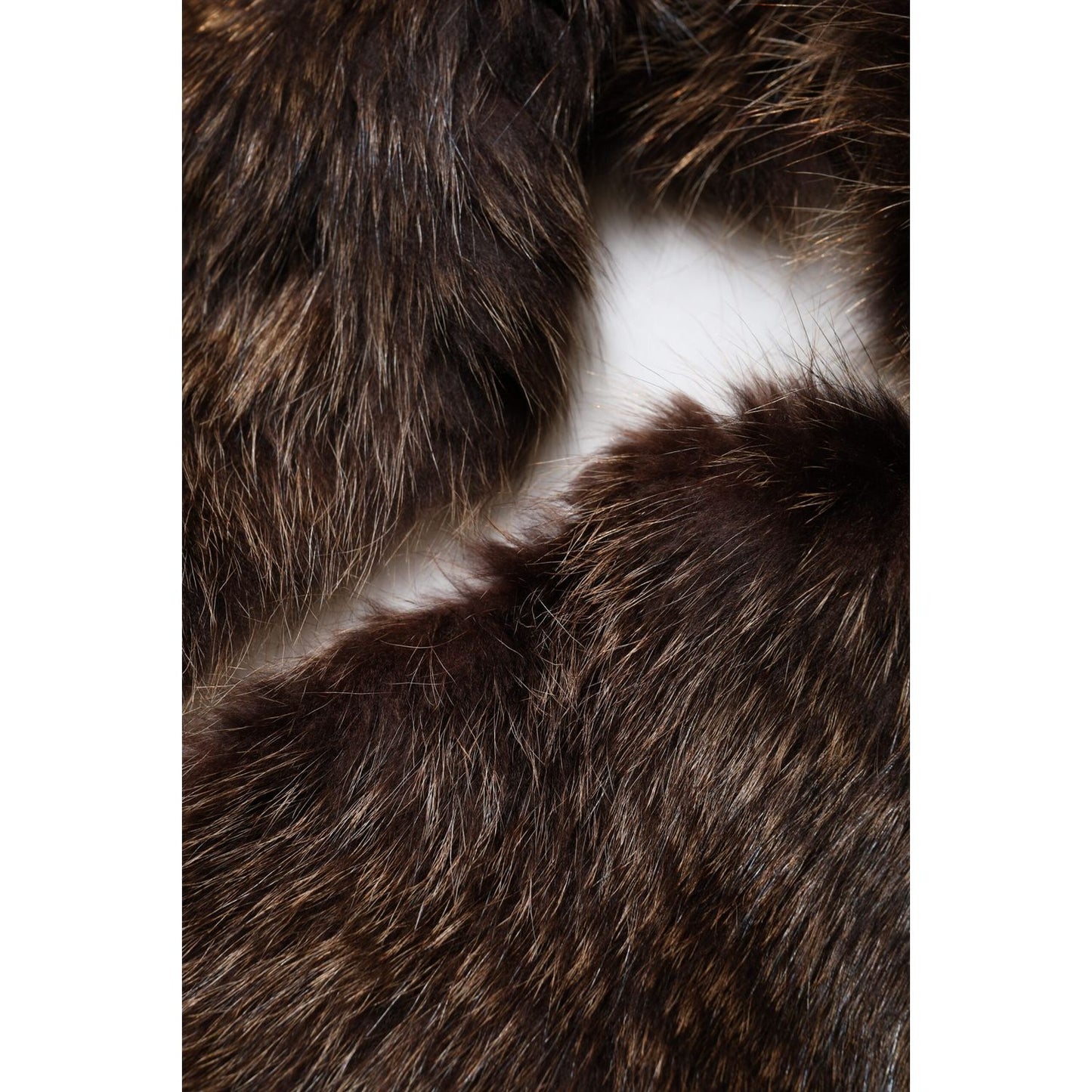 Dolce & Gabbana Brown Raccoon Fur Neck Warmer Winter Scarf MS7124