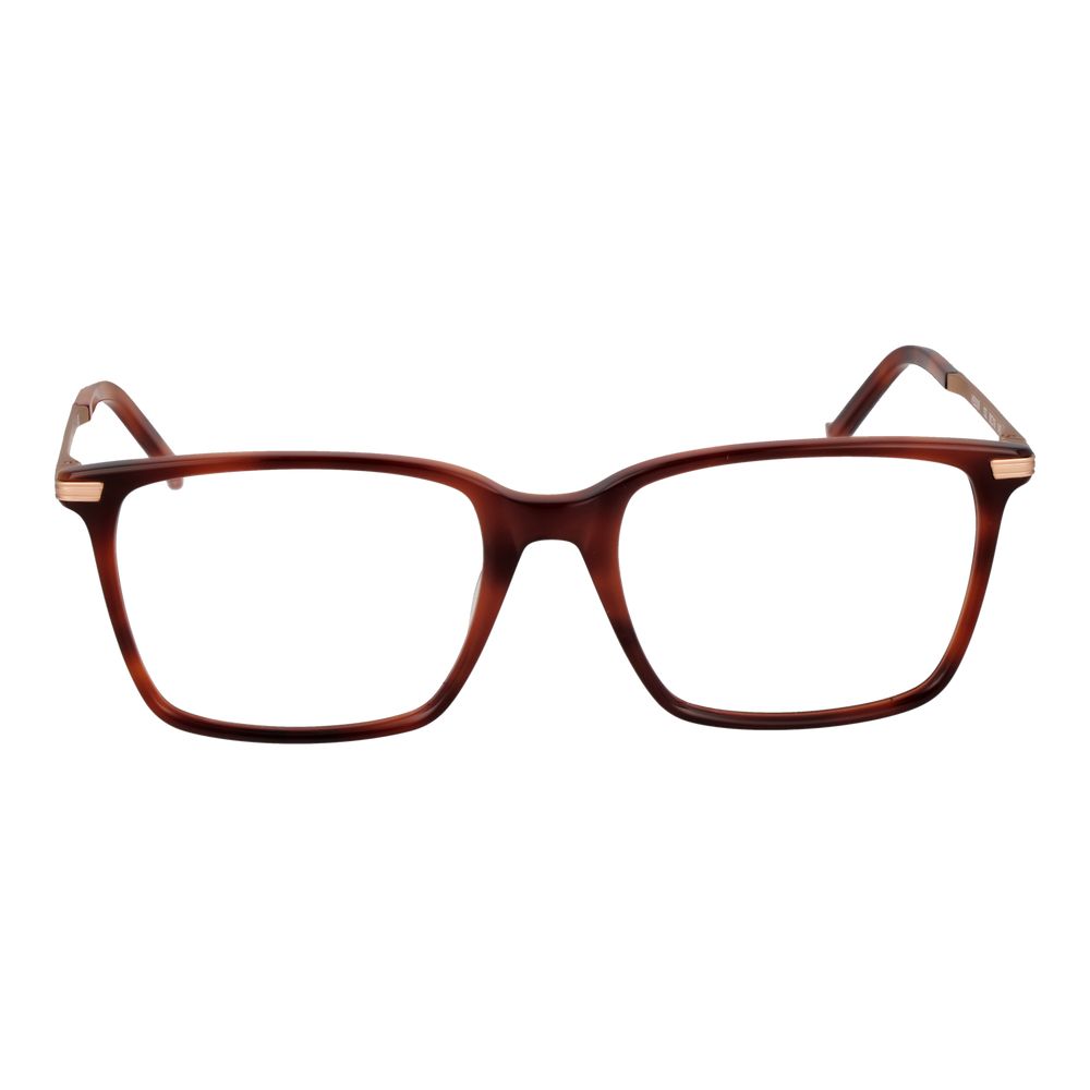 Hackett Brown Men Glasses Frame, square style, full-rim, plastic material, with demo lenses, size 56-19-145, includes branded case.
