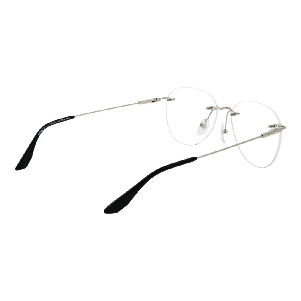 BMW Silver Titanium Glasses (Frames)