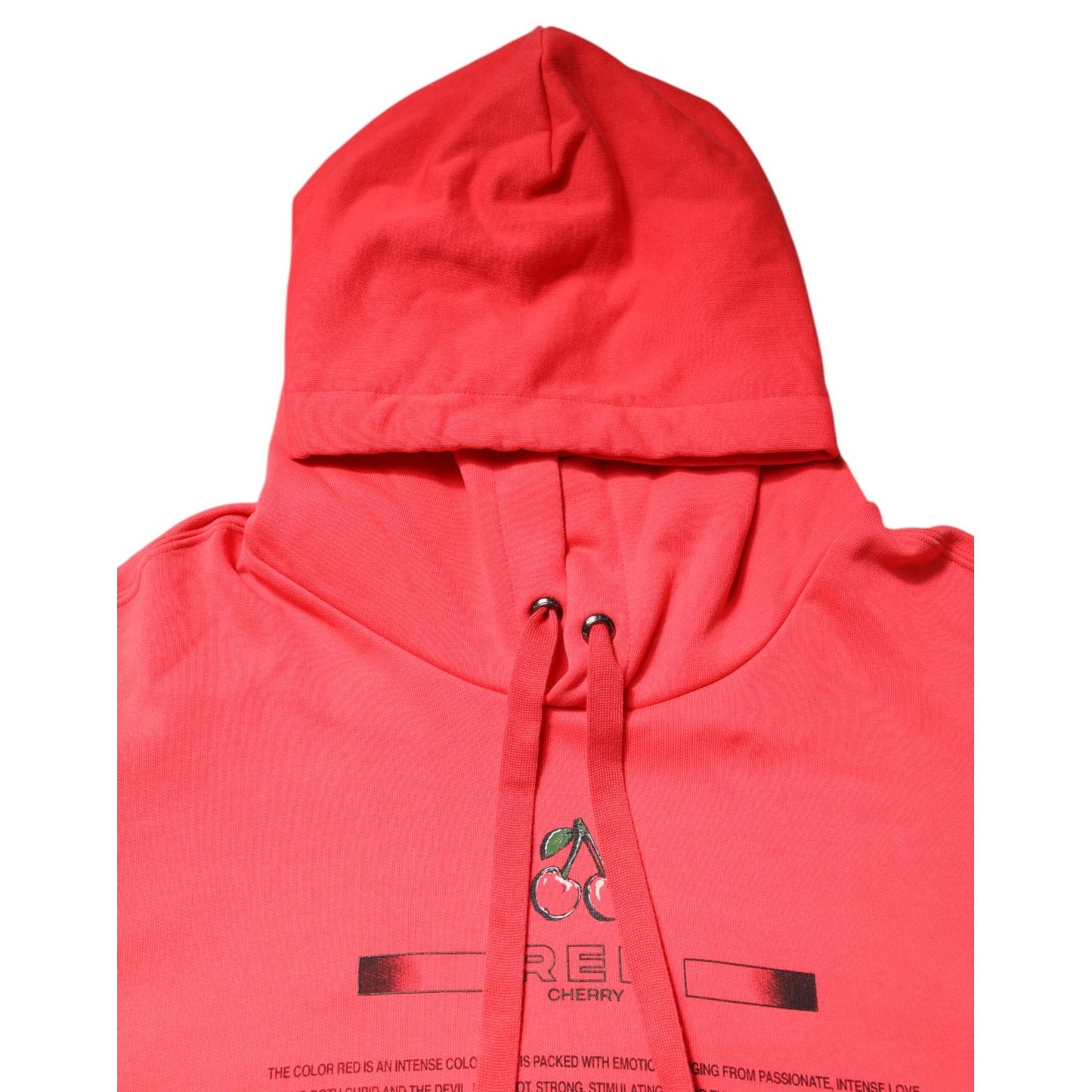 Dolce & Gabbana Red Logo Printed Hooded Sweatshirt Sweater