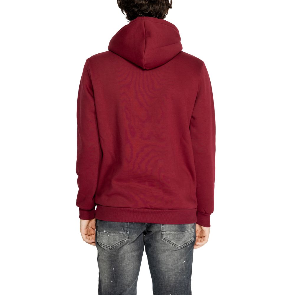 Icon Bordeaux Cotton Hoodie